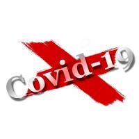 ûͧѹСӨѴ Covid-19