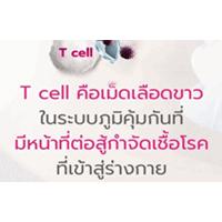 Tcell  ˹ҷҧ ͧѹcovid19